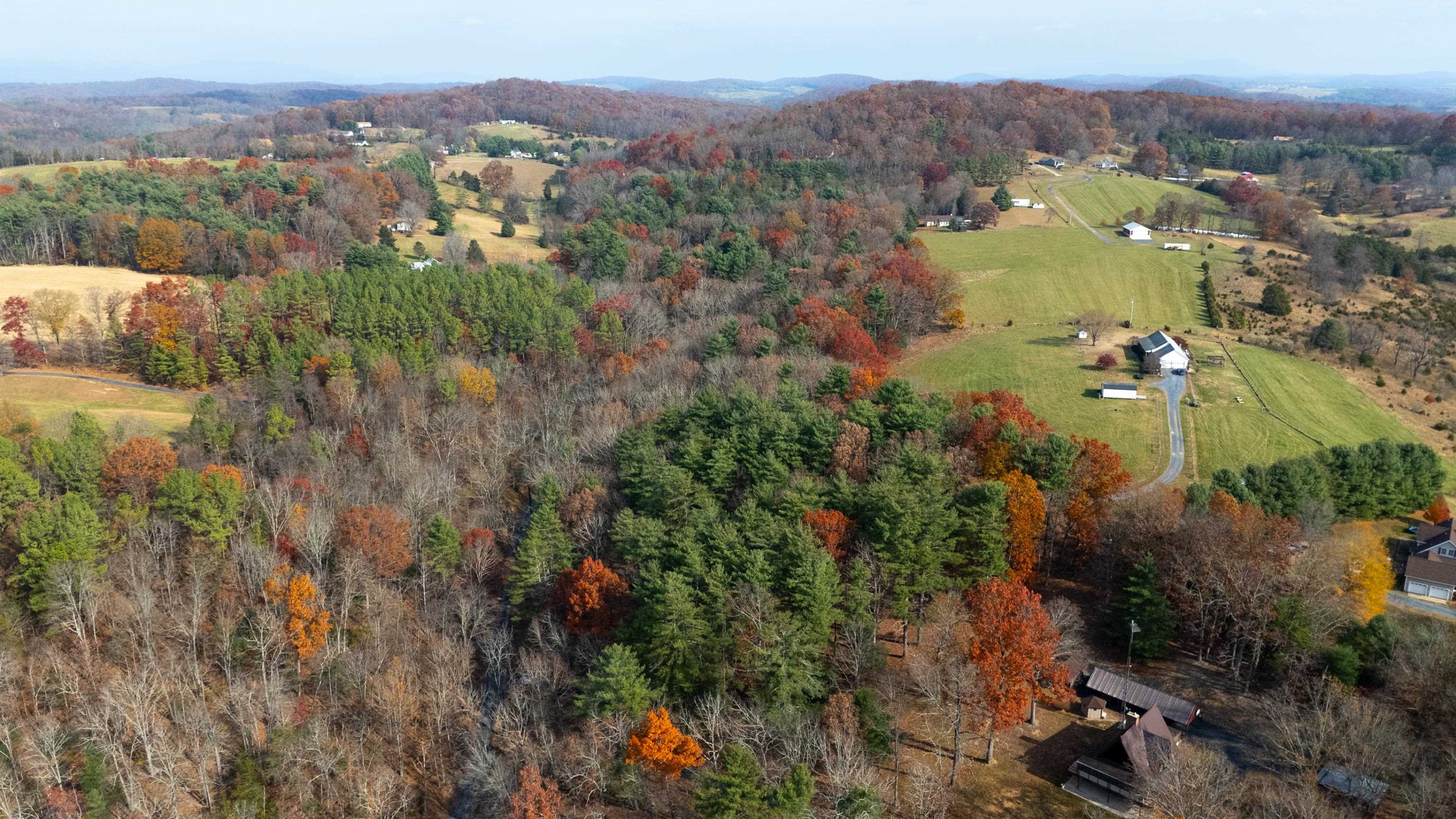 TBD PLUM TREE DRAFT RD, CHURCHVILLE, Virginia 24421, ,Land,TBD PLUM TREE DRAFT RD,675109 MLS # 675109 TBD PLUM TREE DRAFT RD, CHURCHVILLE, Virginia 24421, ,Land,TBD PLUM TREE DRAFT RD,675109 MLS # 675109