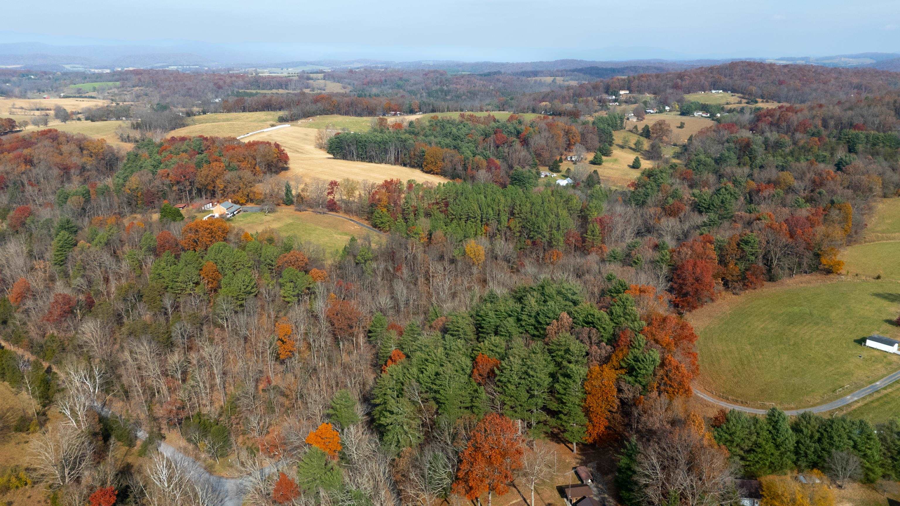 TBD PLUM TREE DRAFT RD, CHURCHVILLE, Virginia 24421, ,Land,TBD PLUM TREE DRAFT RD,675109 MLS # 675109 TBD PLUM TREE DRAFT RD, CHURCHVILLE, Virginia 24421, ,Land,TBD PLUM TREE DRAFT RD,675109 MLS # 675109