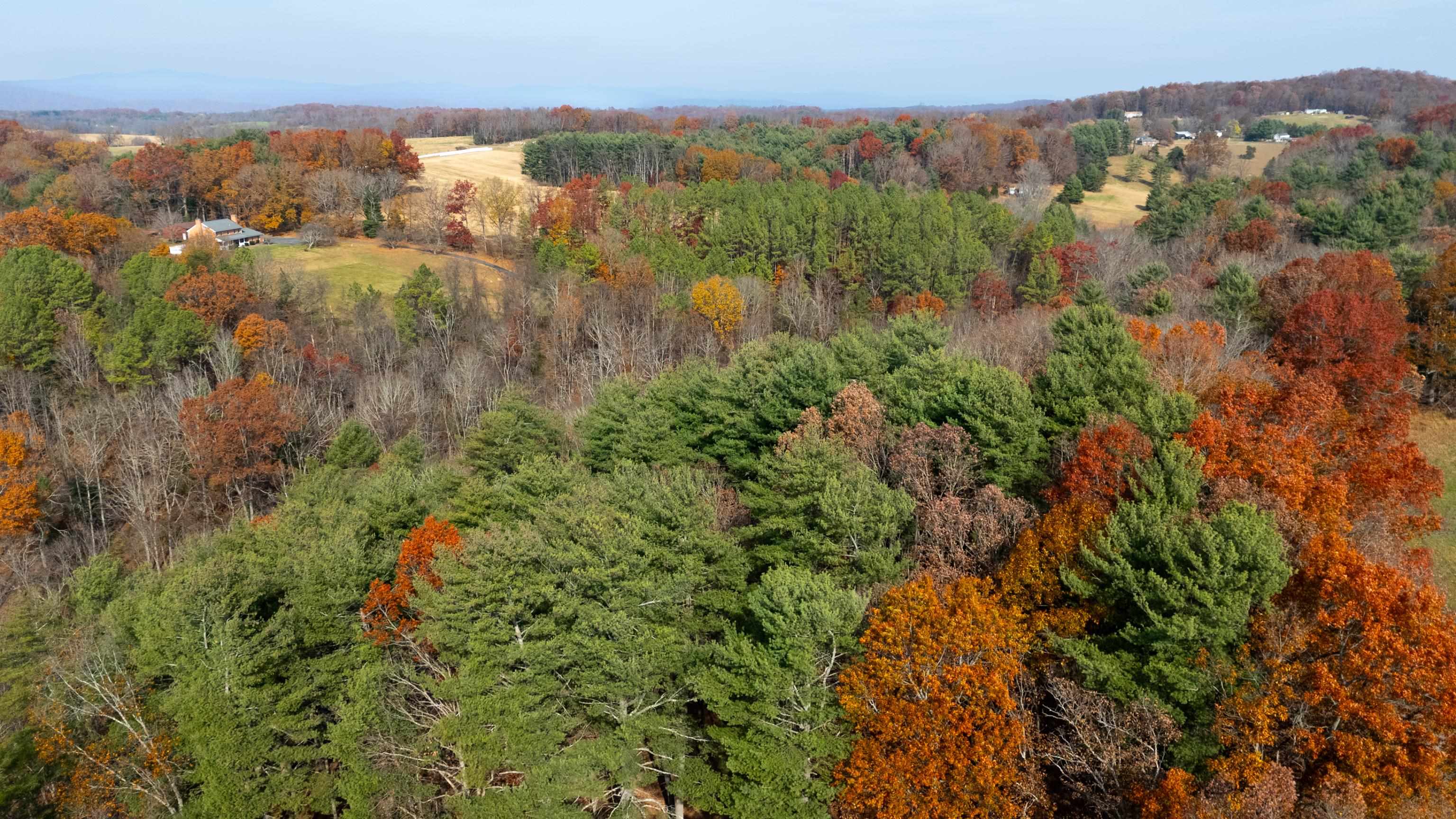 TBD PLUM TREE DRAFT RD, CHURCHVILLE, Virginia 24421, ,Land,TBD PLUM TREE DRAFT RD,675109 MLS # 675109 TBD PLUM TREE DRAFT RD, CHURCHVILLE, Virginia 24421, ,Land,TBD PLUM TREE DRAFT RD,675109 MLS # 675109