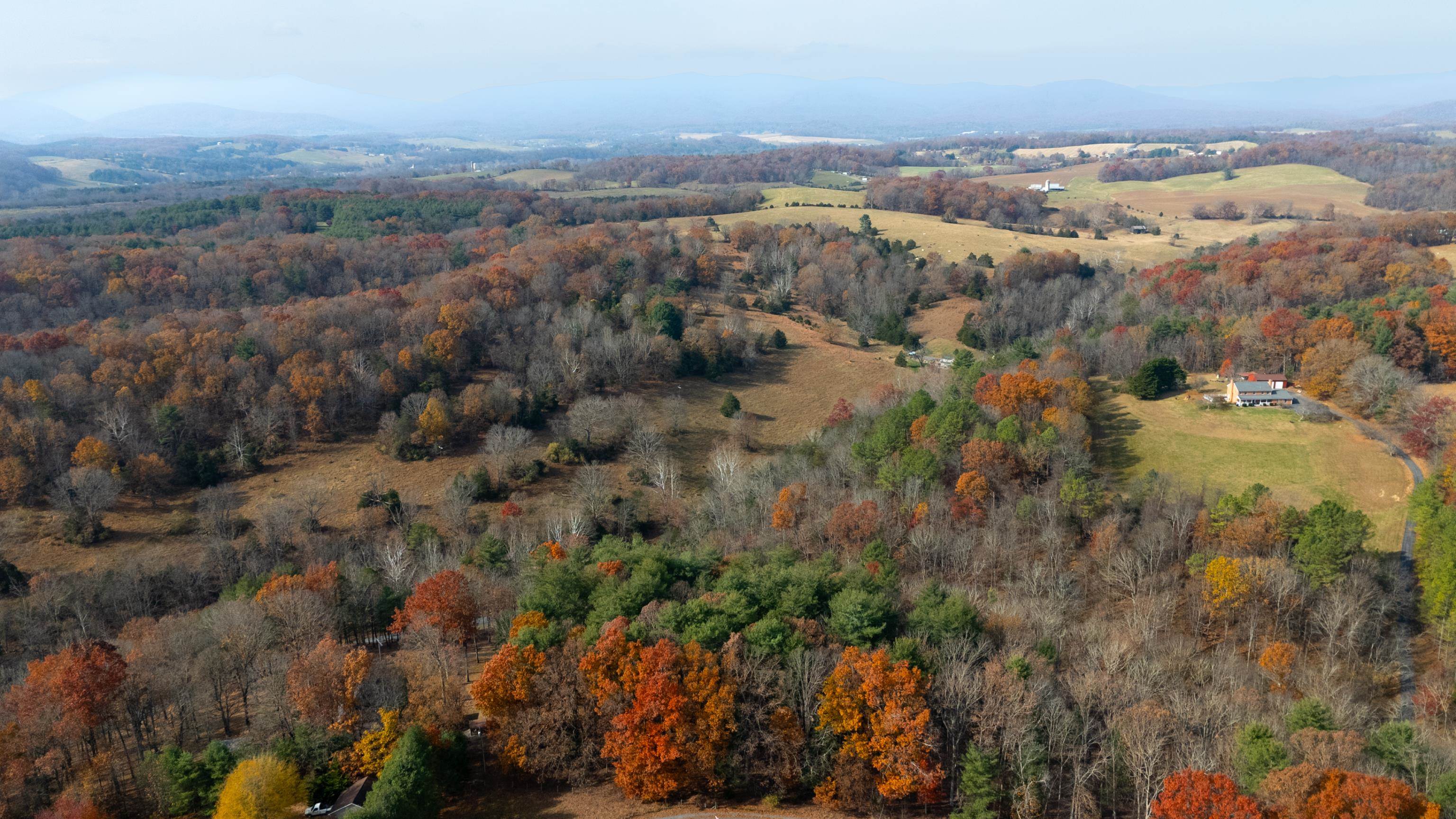 TBD PLUM TREE DRAFT RD, CHURCHVILLE, Virginia 24421, ,Land,TBD PLUM TREE DRAFT RD,675109 MLS # 675109 TBD PLUM TREE DRAFT RD, CHURCHVILLE, Virginia 24421, ,Land,TBD PLUM TREE DRAFT RD,675109 MLS # 675109