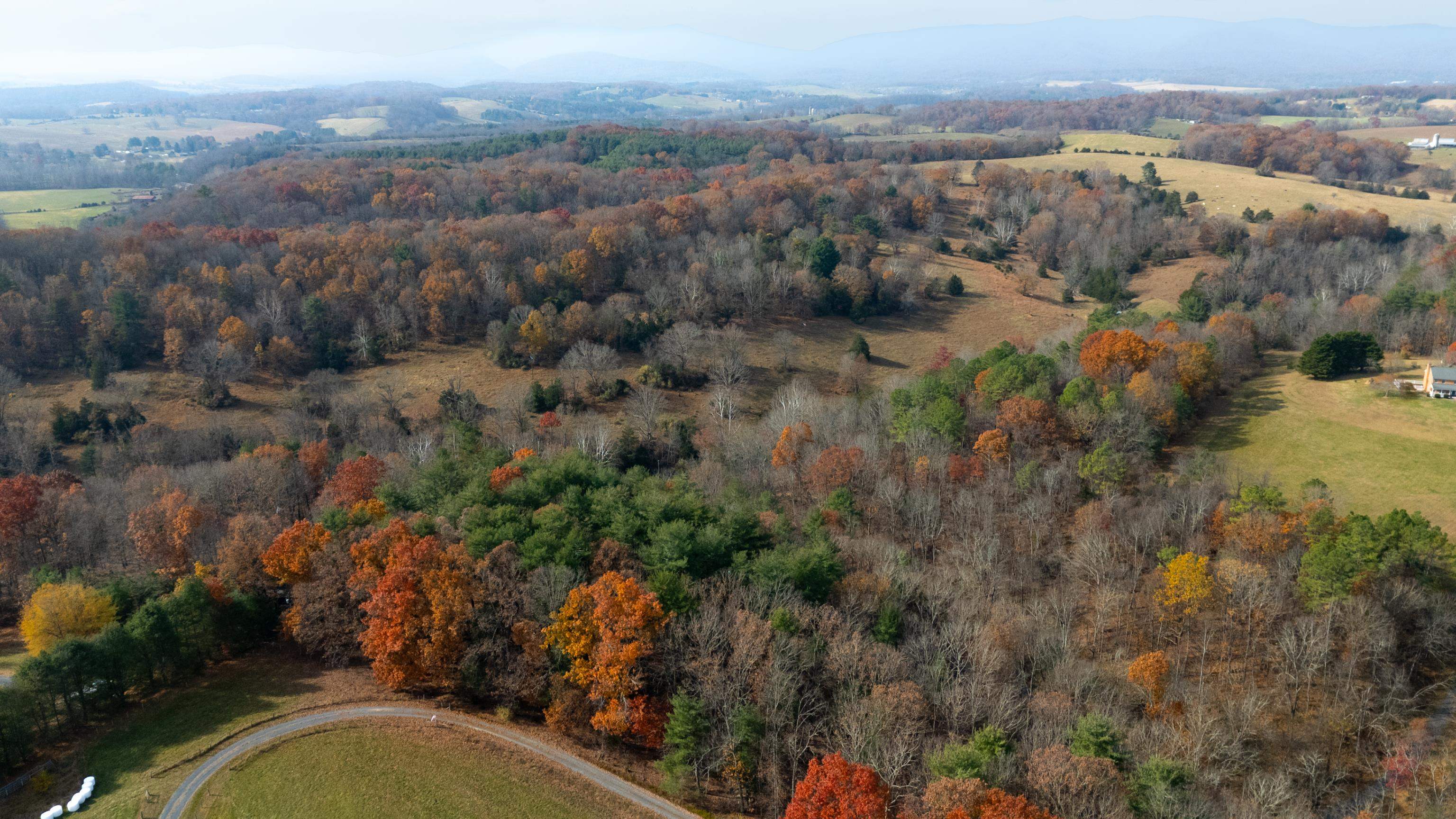 TBD PLUM TREE DRAFT RD, CHURCHVILLE, Virginia 24421, ,Land,TBD PLUM TREE DRAFT RD,675109 MLS # 675109 TBD PLUM TREE DRAFT RD, CHURCHVILLE, Virginia 24421, ,Land,TBD PLUM TREE DRAFT RD,675109 MLS # 675109