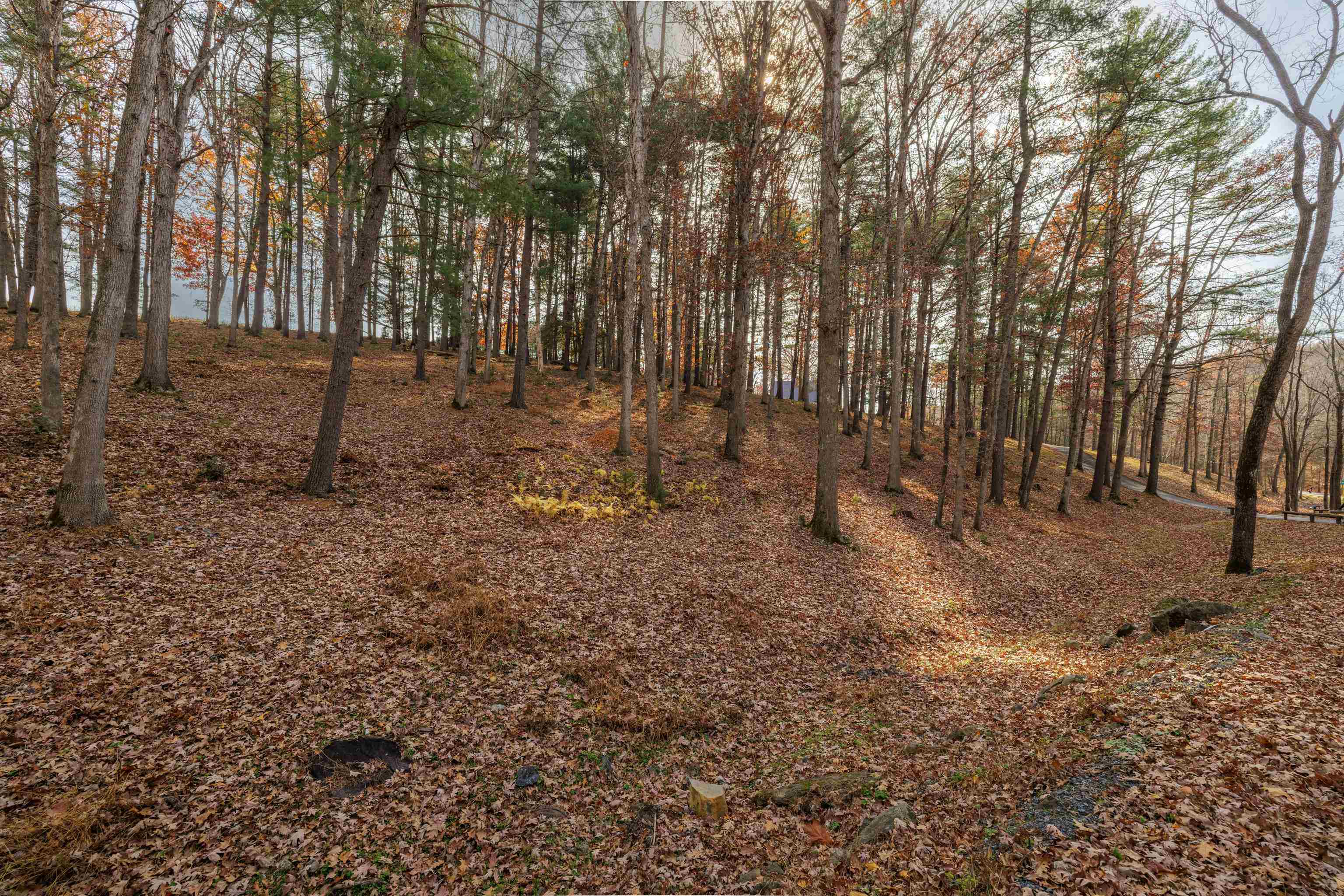 TBD PLUM TREE DRAFT RD, CHURCHVILLE, Virginia 24421, ,Land,TBD PLUM TREE DRAFT RD,675109 MLS # 675109 TBD PLUM TREE DRAFT RD, CHURCHVILLE, Virginia 24421, ,Land,TBD PLUM TREE DRAFT RD,675109 MLS # 675109