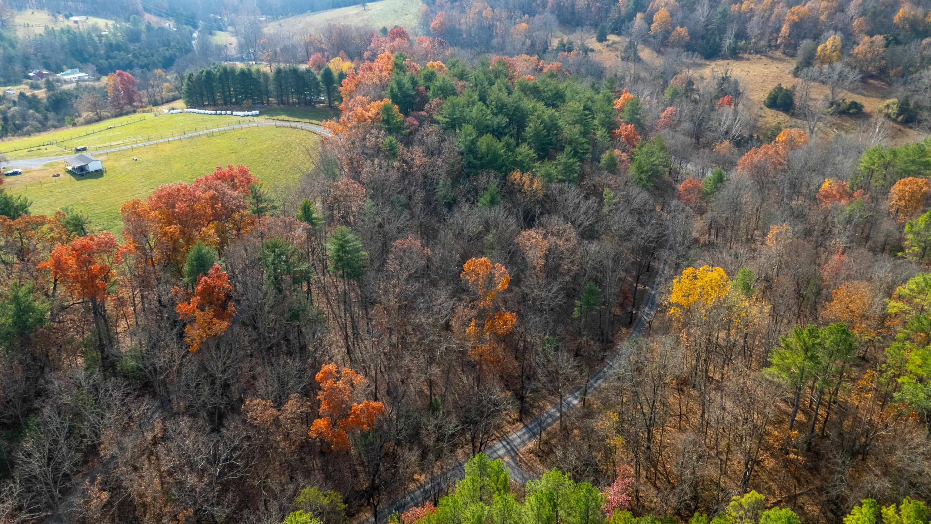 TBD PLUM TREE DRAFT RD, CHURCHVILLE, Virginia 24421, ,Land,TBD PLUM TREE DRAFT RD,675109 MLS # 675109 TBD PLUM TREE DRAFT RD, CHURCHVILLE, Virginia 24421, ,Land,TBD PLUM TREE DRAFT RD,675109 MLS # 675109