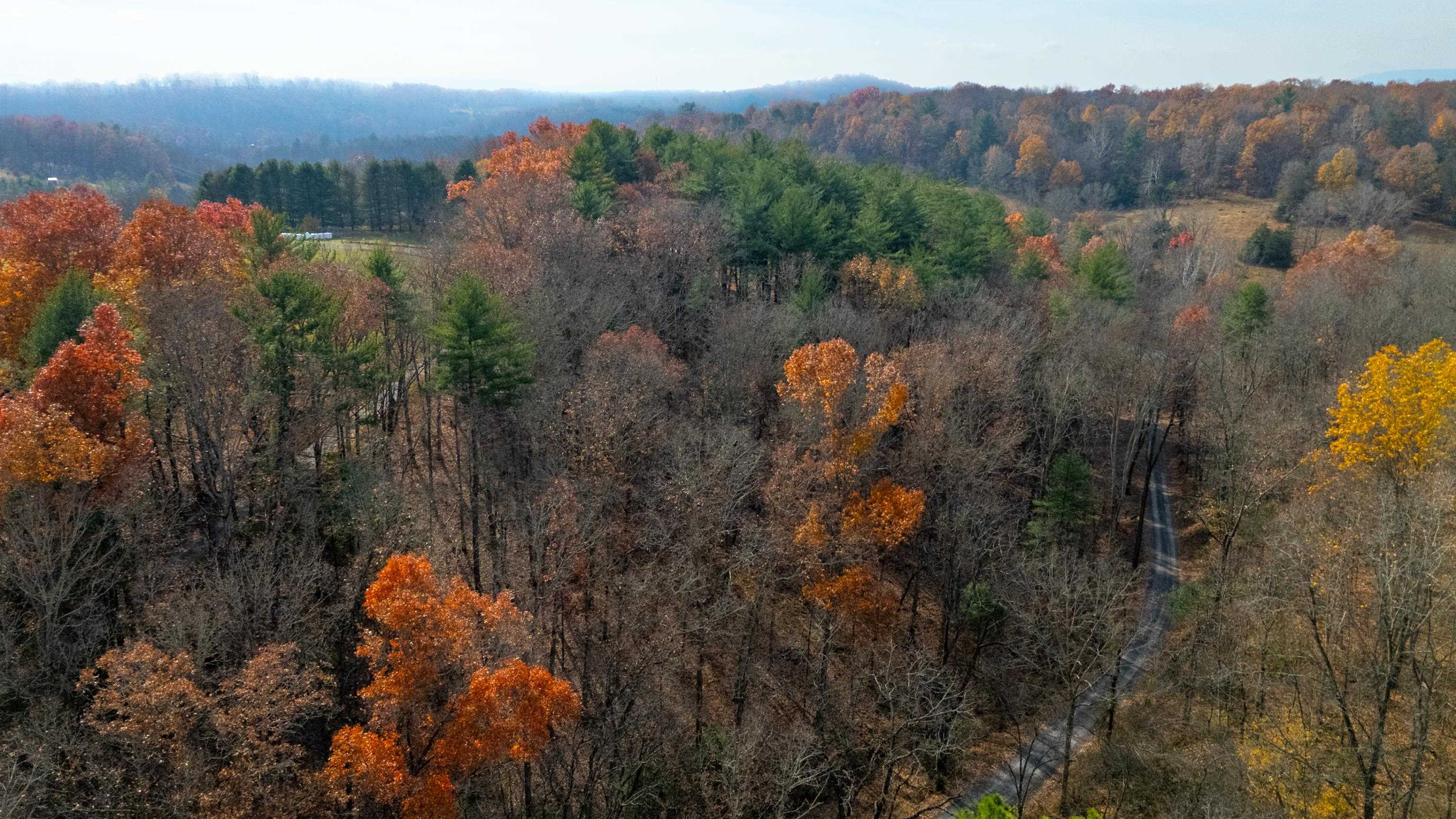 TBD PLUM TREE DRAFT RD, CHURCHVILLE, Virginia 24421, ,Land,TBD PLUM TREE DRAFT RD,675109 MLS # 675109 TBD PLUM TREE DRAFT RD, CHURCHVILLE, Virginia 24421, ,Land,TBD PLUM TREE DRAFT RD,675109 MLS # 675109