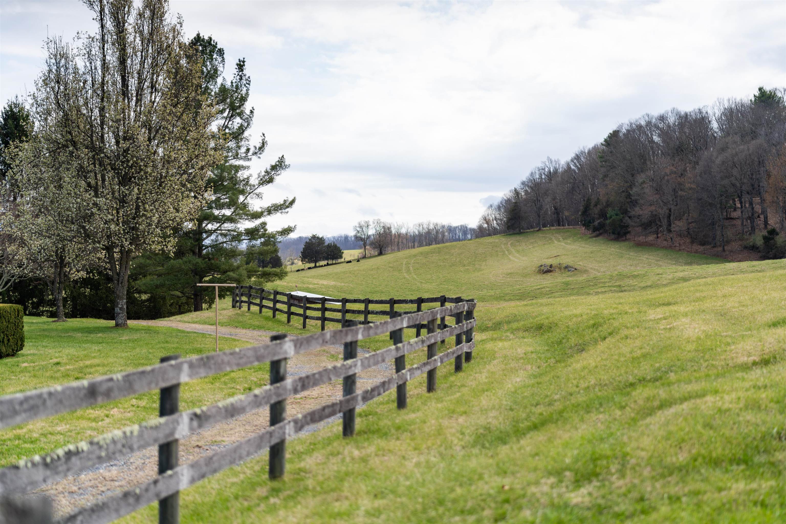 584 NEWPORT RD, SPOTTSWOOD, Virginia 24476, 3 Bedrooms Bedrooms, ,2 BathroomsBathrooms,Residential,584 NEWPORT RD,675093 MLS # 675093