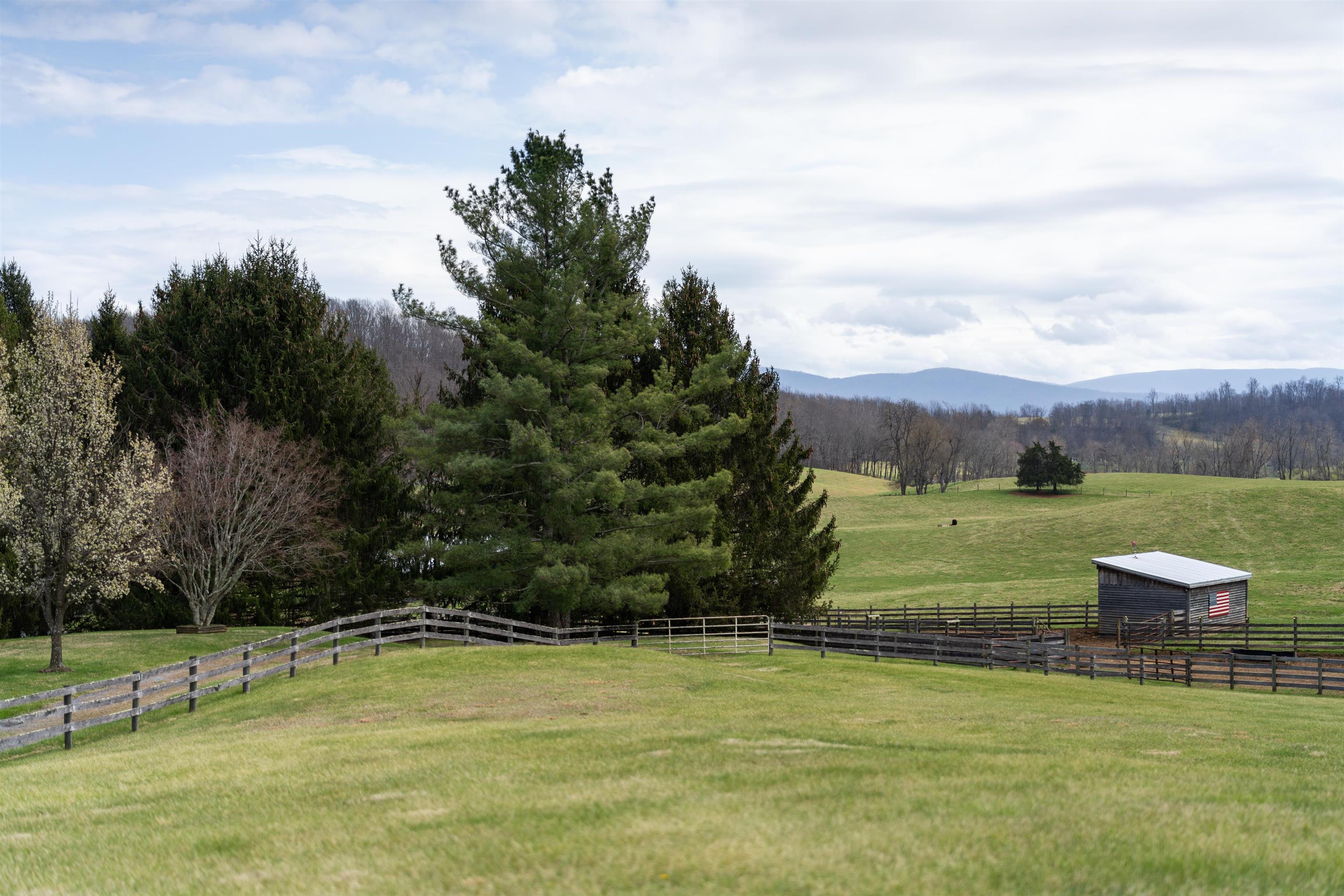 584 NEWPORT RD, SPOTTSWOOD, Virginia 24476, 3 Bedrooms Bedrooms, ,2 BathroomsBathrooms,Residential,584 NEWPORT RD,675093 MLS # 675093