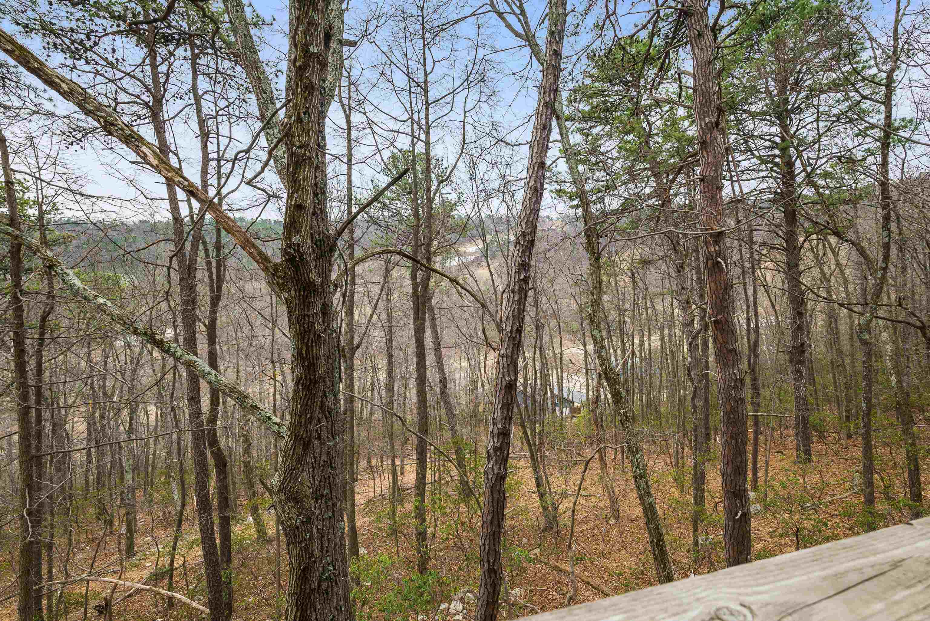 781 RAINIER RD, MCGAHEYSVILLE, Virginia 22840, 5 Bedrooms Bedrooms, ,4 BathroomsBathrooms,Residential,The Scrap Nest,781 RAINIER RD,675110 MLS # 675110