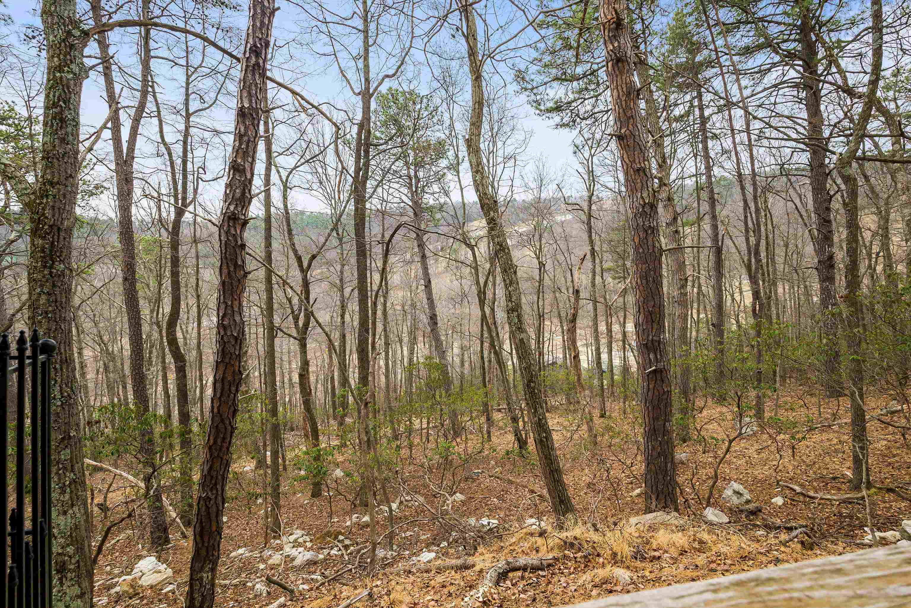 781 RAINIER RD, MCGAHEYSVILLE, Virginia 22840, 5 Bedrooms Bedrooms, ,4 BathroomsBathrooms,Residential,The Scrap Nest,781 RAINIER RD,675110 MLS # 675110