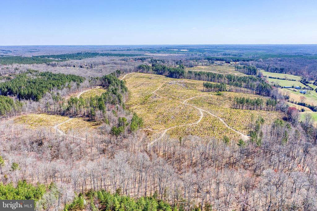 YELLOWBOTTOM RD, LIGNUM, Virginia 22726, ,Farm,YELLOWBOTTOM RD,VACU2010188 MLS # VACU2010188