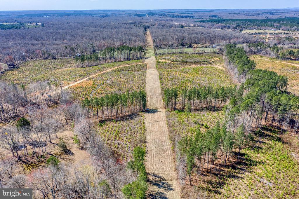 YELLOWBOTTOM RD, LIGNUM, Virginia 22726, ,Farm,YELLOWBOTTOM RD,VACU2010188 MLS # VACU2010188