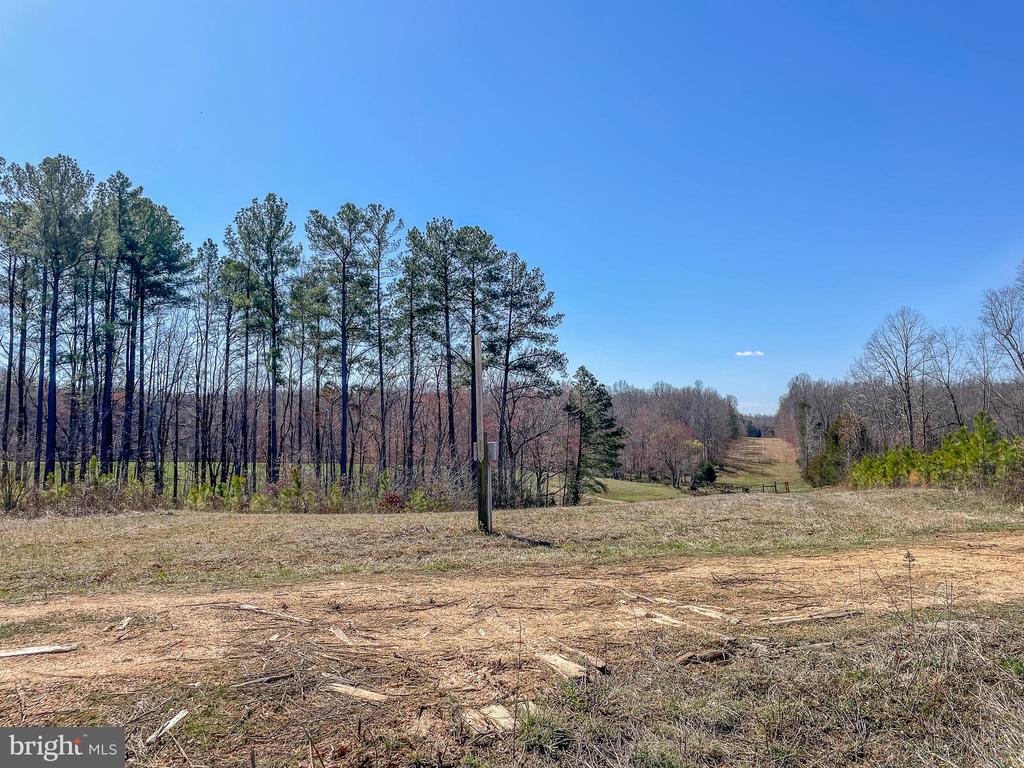 YELLOWBOTTOM RD, LIGNUM, Virginia 22726, ,Farm,YELLOWBOTTOM RD,VACU2010188 MLS # VACU2010188