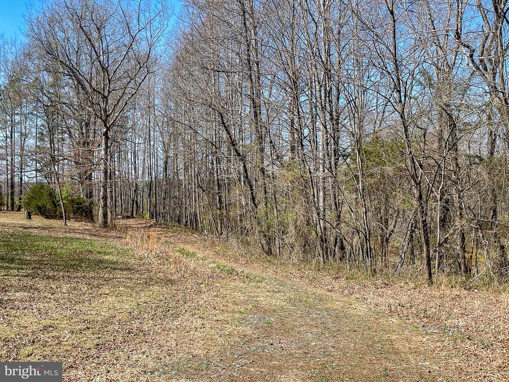 YELLOWBOTTOM RD, LIGNUM, Virginia 22726, ,Farm,YELLOWBOTTOM RD,VACU2010188 MLS # VACU2010188
