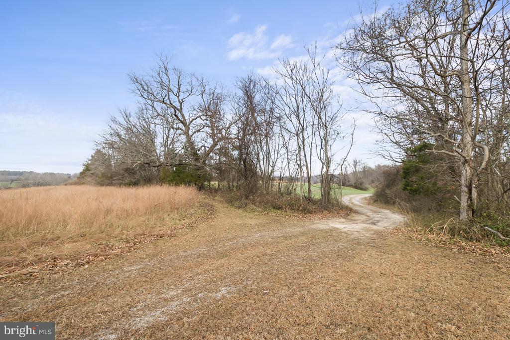 7389 LEEDS MANOR RD, MARSHALL, Virginia, ,Farm,7389 LEEDS MANOR RD,VAFQ2021218 MLS # VAFQ2021218