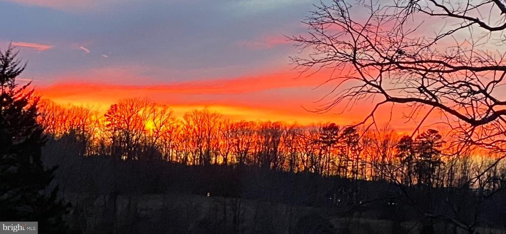 7389 LEEDS MANOR RD, MARSHALL, Virginia, ,Farm,7389 LEEDS MANOR RD,VAFQ2021218 MLS # VAFQ2021218