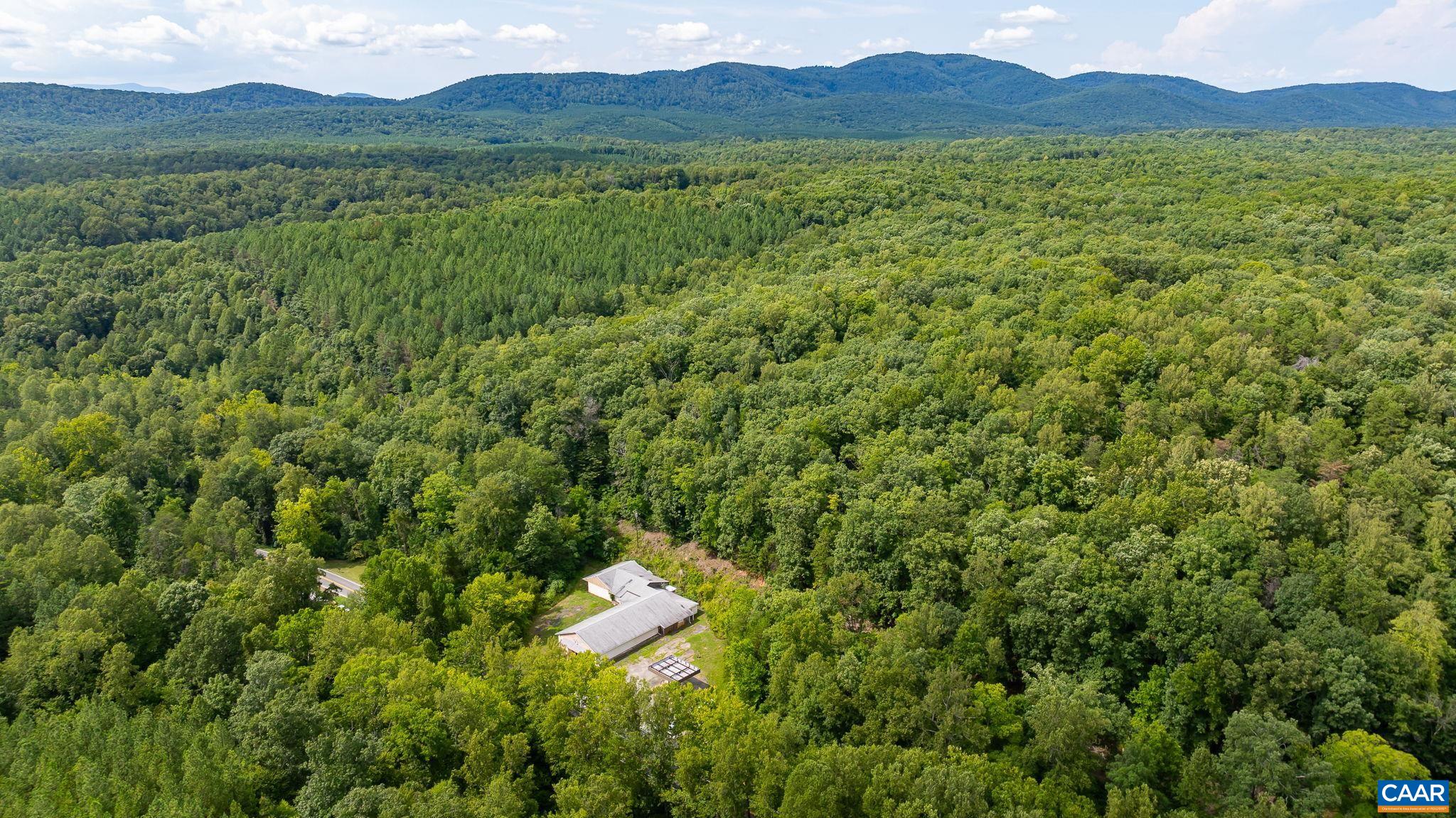 4952 IRISH RD, SCHUYLER, Virginia 22969, ,Land,4952 IRISH RD,675130 MLS # 675130