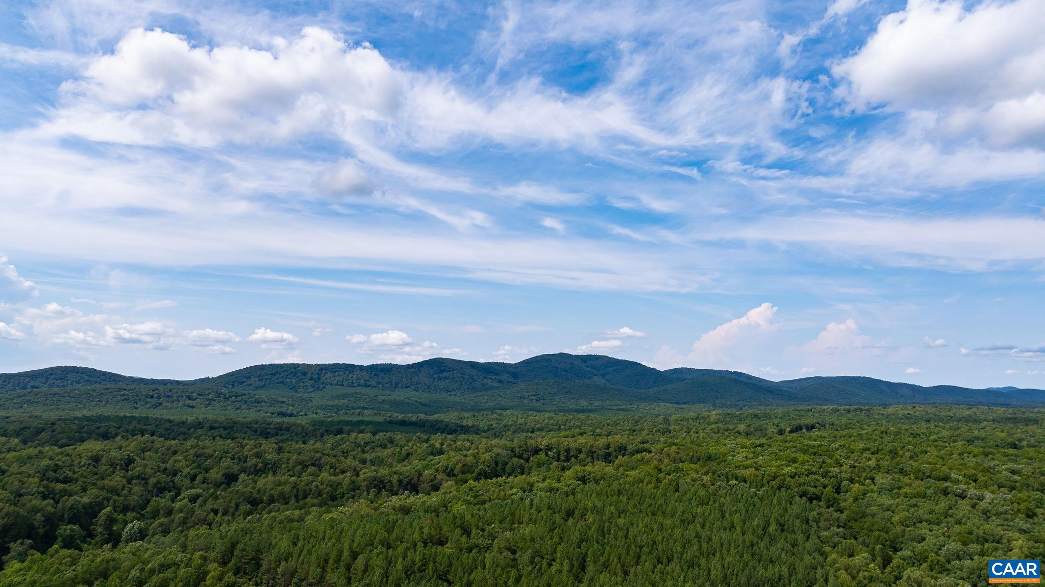 4952 IRISH RD, SCHUYLER, Virginia 22969, ,Land,4952 IRISH RD,675130 MLS # 675130