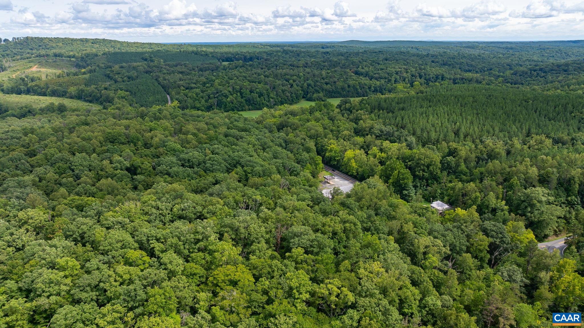 4952 IRISH RD, SCHUYLER, Virginia 22969, ,Land,4952 IRISH RD,675130 MLS # 675130