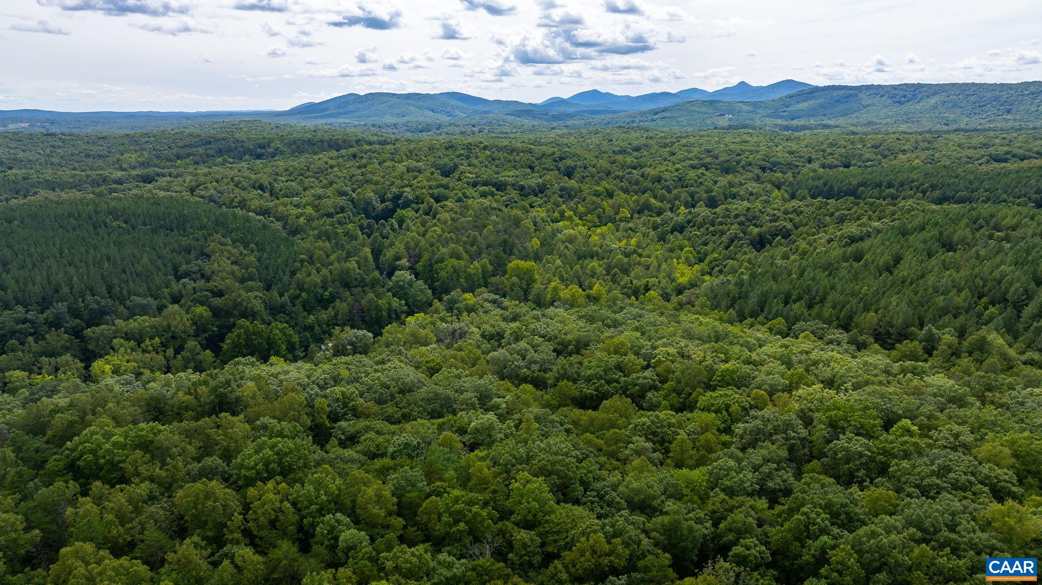 4952 IRISH RD, SCHUYLER, Virginia 22969, ,Land,4952 IRISH RD,675130 MLS # 675130