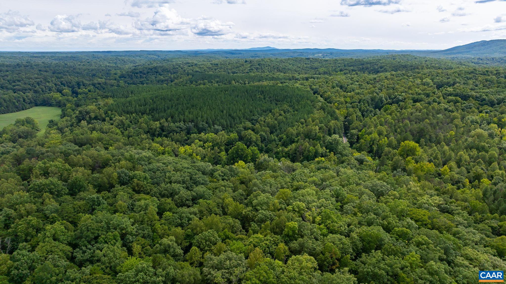 TBD IRISH RD, SCHUYLER, Virginia 22969, ,Land,TBD IRISH RD,675131 MLS # 675131