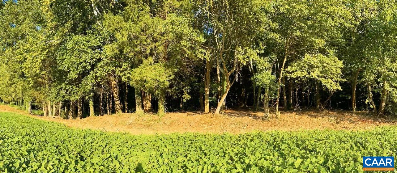 TBD PECAN LN, CARDINAL, Virginia 23025, ,Land,TBD PECAN LN,675142 MLS # 675142