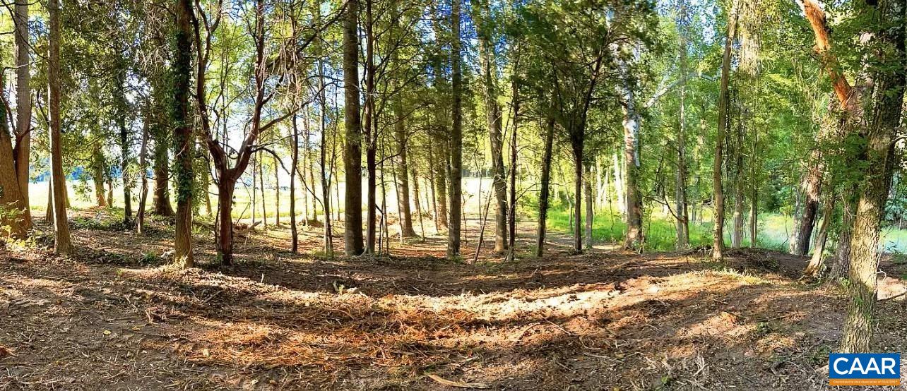 TBD PECAN LN, CARDINAL, Virginia 23025, ,Land,TBD PECAN LN,675142 MLS # 675142