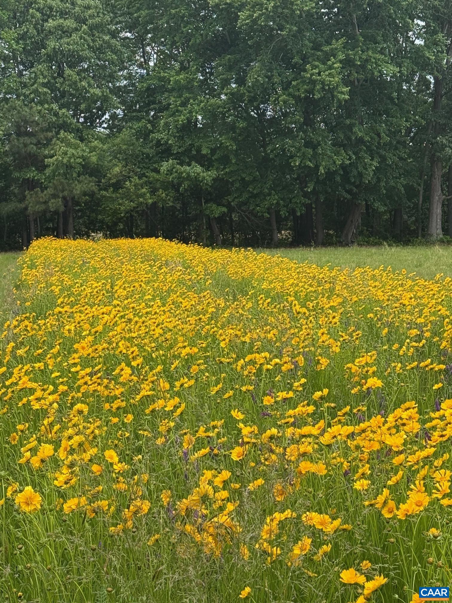 TBD PECAN LN, CARDINAL, Virginia 23025, ,Land,TBD PECAN LN,675142 MLS # 675142