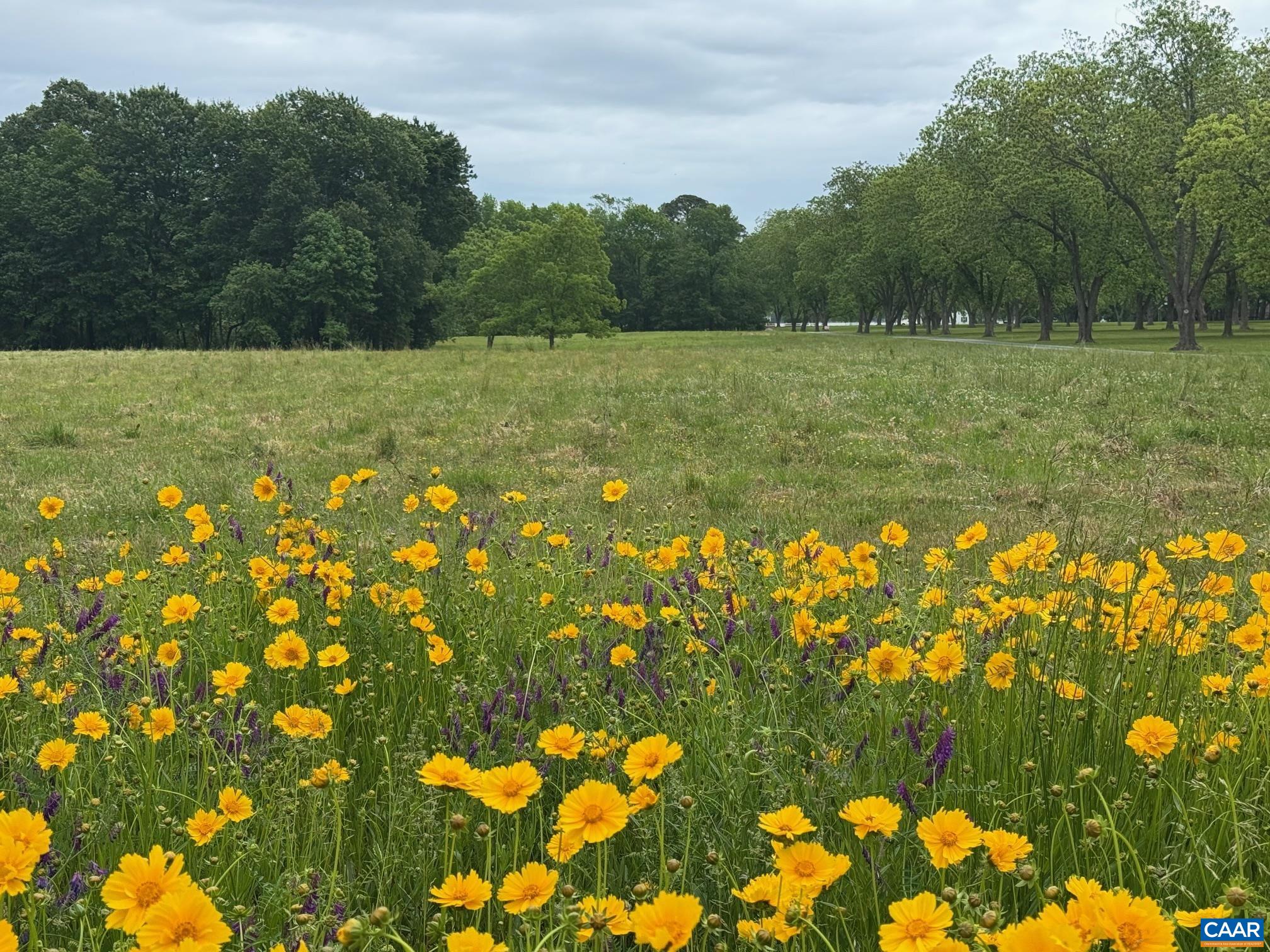 TBD PECAN LN, CARDINAL, Virginia 23025, ,Land,TBD PECAN LN,675142 MLS # 675142