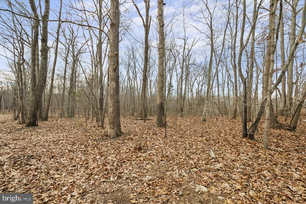 7389 LEEDS MANOR RD, MARSHALL, Virginia, 3 Bedrooms Bedrooms, ,2 BathroomsBathrooms,Residential,7389 LEEDS MANOR RD,VAFQ2021216 MLS # VAFQ2021216