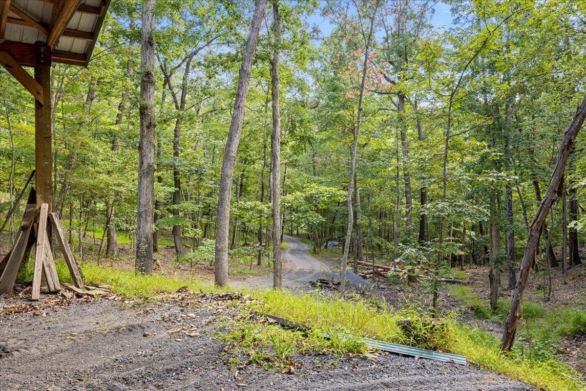 867 BLACKBERRY LN, NEW MARKET, Virginia 22844, 3 Bedrooms Bedrooms, ,2 BathroomsBathrooms,Residential,Laughing Bear Mountain Lodge,867 BLACKBERRY LN,669035 MLS # 669035