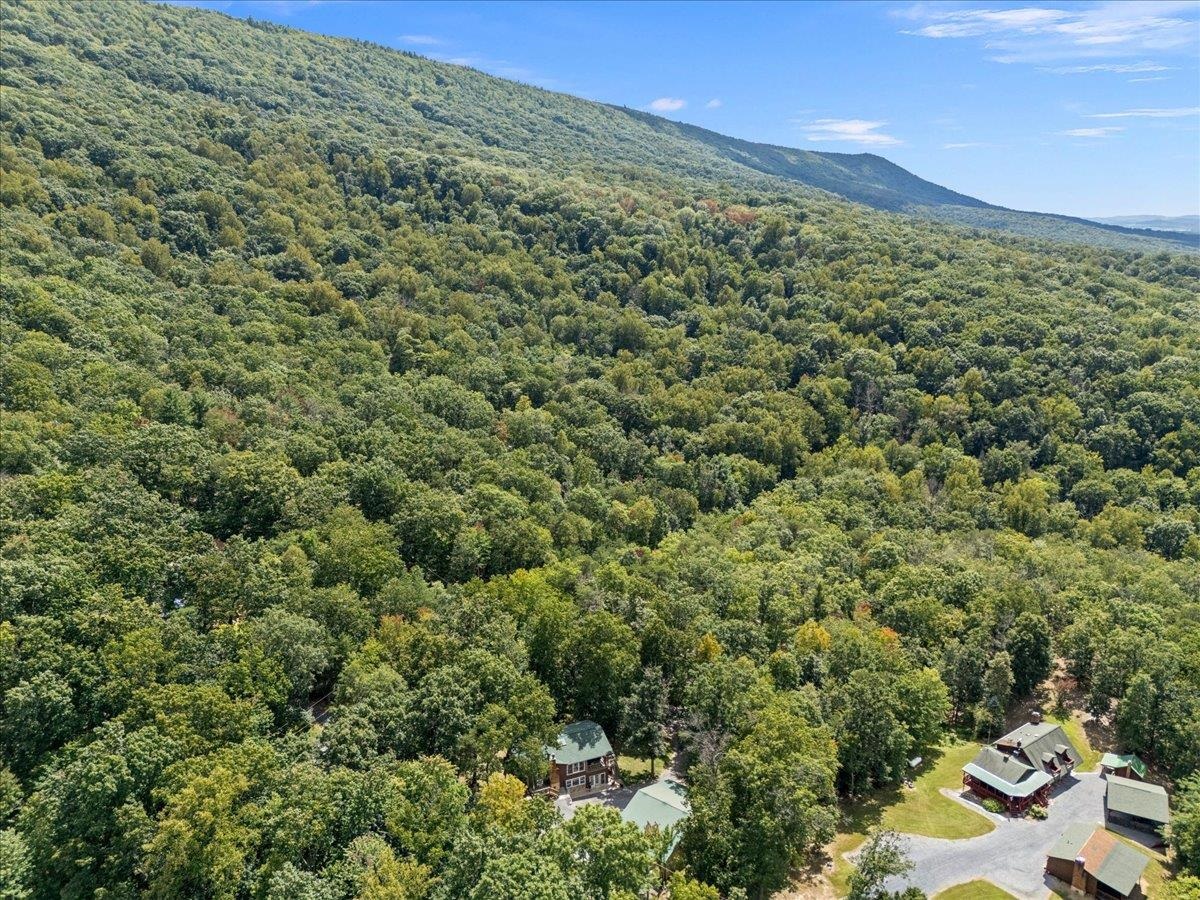 867 BLACKBERRY LN, NEW MARKET, Virginia 22844, 3 Bedrooms Bedrooms, ,2 BathroomsBathrooms,Residential,Laughing Bear Mountain Lodge,867 BLACKBERRY LN,669035 MLS # 669035