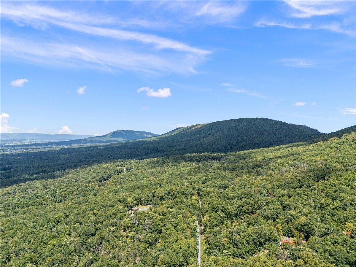 867 BLACKBERRY LN, NEW MARKET, Virginia 22844, 3 Bedrooms Bedrooms, ,2 BathroomsBathrooms,Residential,Laughing Bear Mountain Lodge,867 BLACKBERRY LN,669035 MLS # 669035