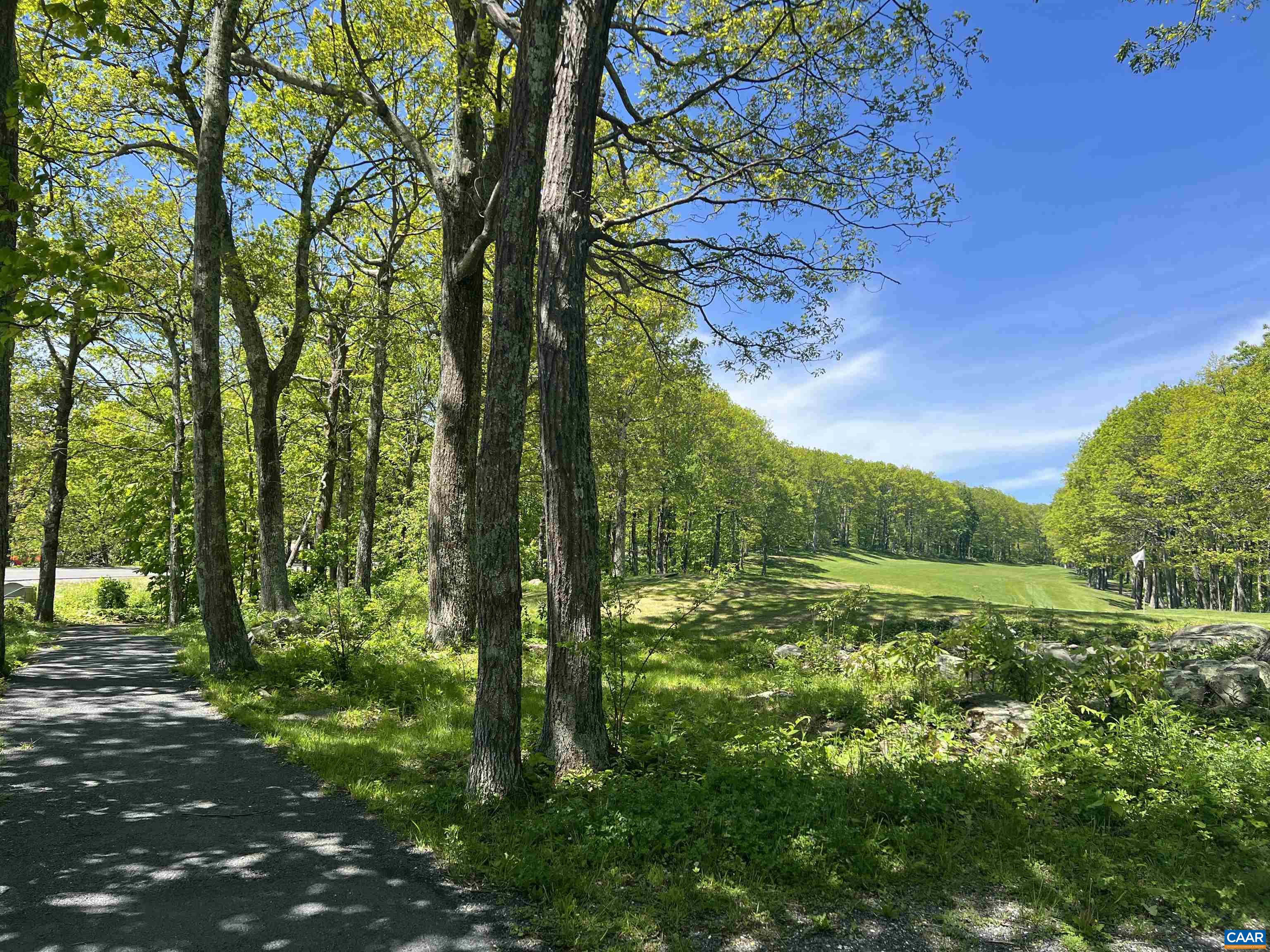 Devils Knob 2nd Hole Green Devils Knob 2nd Hole Green