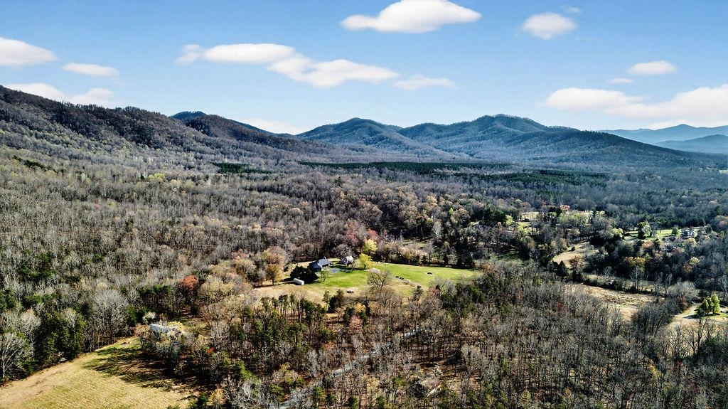 2705 GREENFIELD RD, AFTON, Virginia 22920, 2 Bedrooms Bedrooms, ,2 BathroomsBathrooms,Residential,2705 GREENFIELD RD,675134 MLS # 675134