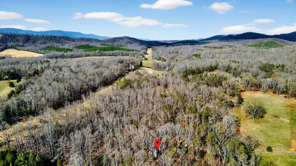 2705 GREENFIELD RD, AFTON, Virginia 22920, 2 Bedrooms Bedrooms, ,2 BathroomsBathrooms,Residential,2705 GREENFIELD RD,675134 MLS # 675134