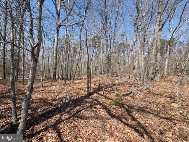 COUNTRYSIDE LANE - LOT 1, LIGNUM, Virginia 22726, ,Land,COUNTRYSIDE LANE - LOT 1,VACU2013166 MLS # VACU2013166