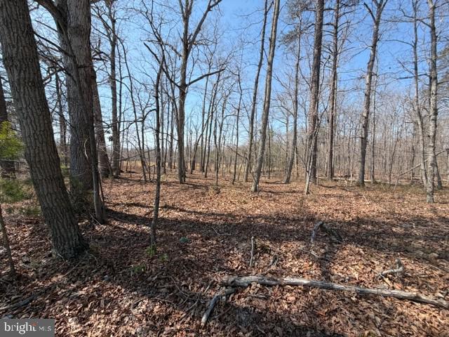 COUNTRYSIDE LANE - LOT 1, LIGNUM, Virginia 22726, ,Land,COUNTRYSIDE LANE - LOT 1,VACU2013166 MLS # VACU2013166