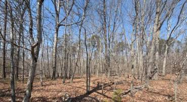 COUNTRYSIDE LANE - LOT 1, LIGNUM, Virginia 22726, ,Land,COUNTRYSIDE LANE - LOT 1,VACU2013166 MLS # VACU2013166