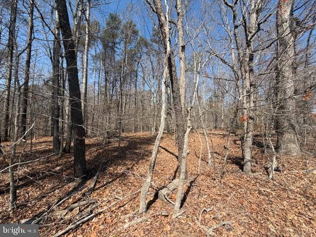 COUNTRYSIDE LANE - LOT 2, LIGNUM, Virginia 22726, ,Land,COUNTRYSIDE LANE - LOT 2,VACU2013168 MLS # VACU2013168