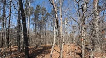 COUNTRYSIDE LANE - LOT 2, LIGNUM, Virginia 22726, ,Land,COUNTRYSIDE LANE - LOT 2,VACU2013168 MLS # VACU2013168