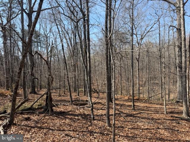 COUNTRYSIDE LANE - LOT 4, LIGNUM, Virginia 22726, ,Land,COUNTRYSIDE LANE - LOT 4,VACU2013172 MLS # VACU2013172