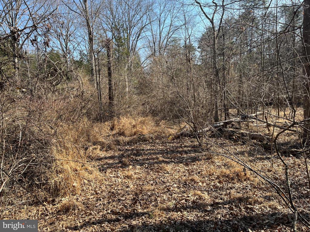 18491 CLAYHILL RD, STEVENSBURG, Virginia 22741, ,Land,18491 CLAYHILL RD,VACU2013174 MLS # VACU2013174