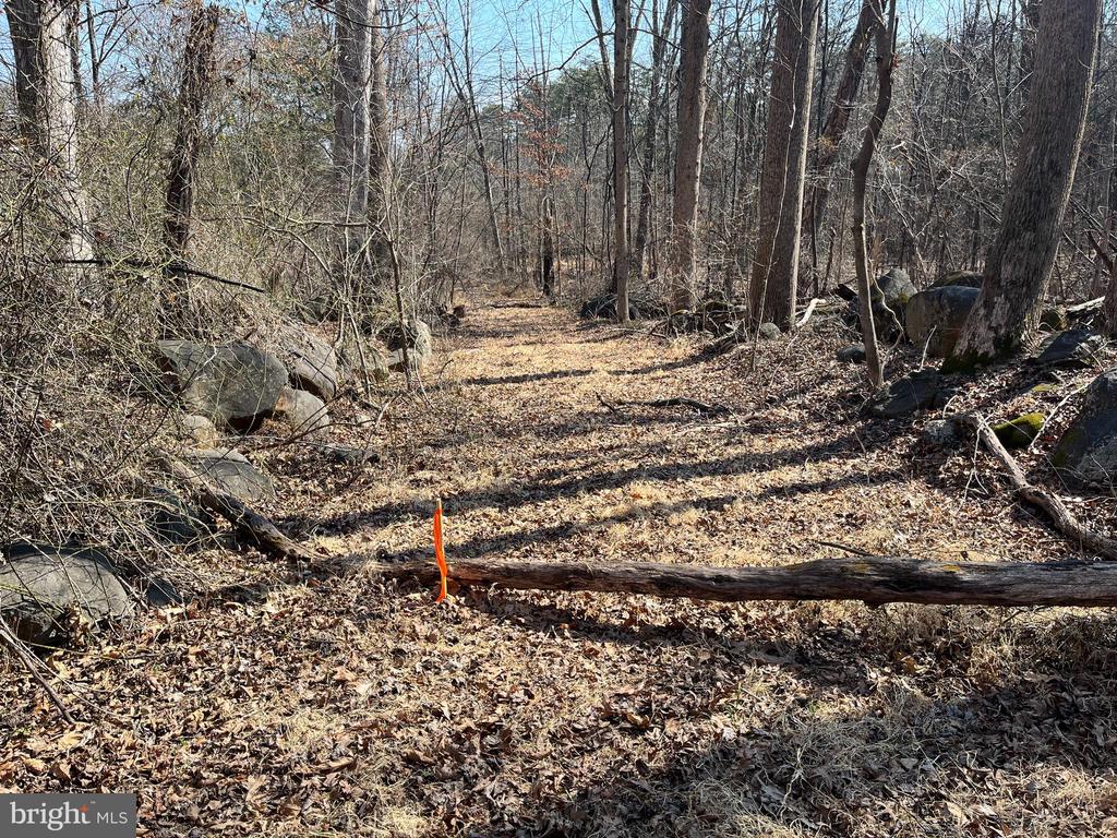 18491 CLAYHILL RD, STEVENSBURG, Virginia 22741, ,Land,18491 CLAYHILL RD,VACU2013174 MLS # VACU2013174