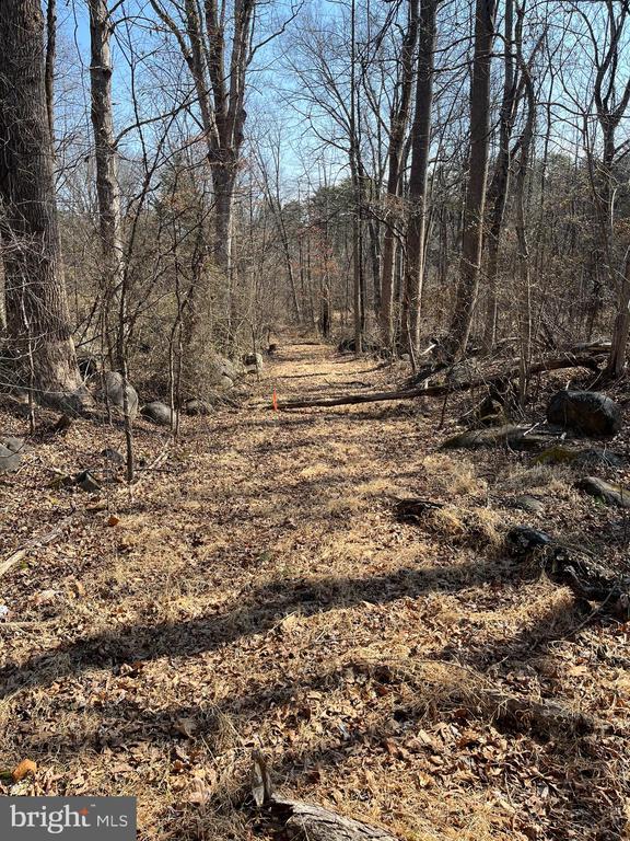 18491 CLAYHILL RD, STEVENSBURG, Virginia 22741, ,Land,18491 CLAYHILL RD,VACU2013174 MLS # VACU2013174