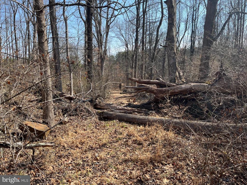 18491 CLAYHILL RD, STEVENSBURG, Virginia 22741, ,Land,18491 CLAYHILL RD,VACU2013174 MLS # VACU2013174