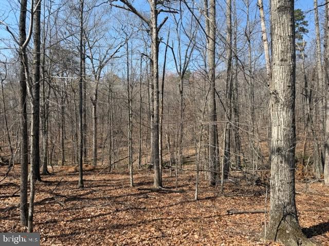 COUNTRYSIDE LANE - LOT 3, LIGNUM, Virginia 22726, ,Land,COUNTRYSIDE LANE - LOT 3,VACU2013170 MLS # VACU2013170