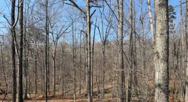 COUNTRYSIDE LANE - LOT 3, LIGNUM, Virginia 22726, ,Land,COUNTRYSIDE LANE - LOT 3,VACU2013170 MLS # VACU2013170