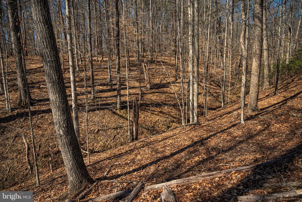 0 COX MILL RD, GORDONSVILLE, Virginia 22942, ,Farm,0 COX MILL RD,VAOR2013724 MLS # VAOR2013724