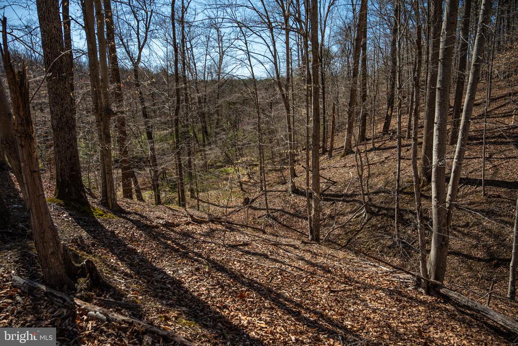 0 COX MILL RD, GORDONSVILLE, Virginia 22942, ,Farm,0 COX MILL RD,VAOR2013724 MLS # VAOR2013724