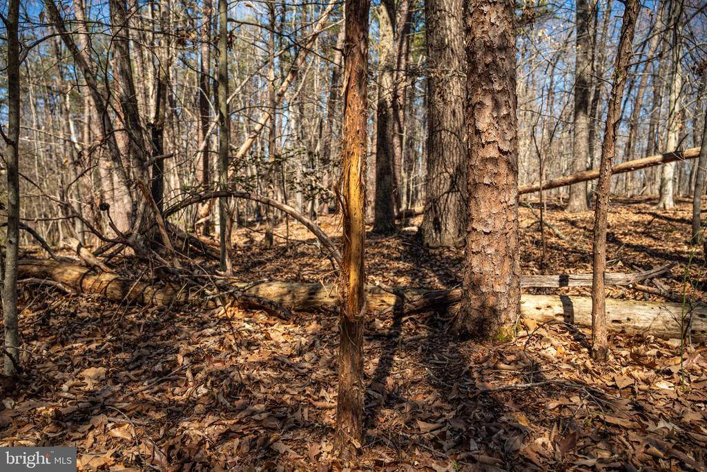 0 COX MILL RD, GORDONSVILLE, Virginia 22942, ,Farm,0 COX MILL RD,VAOR2013724 MLS # VAOR2013724