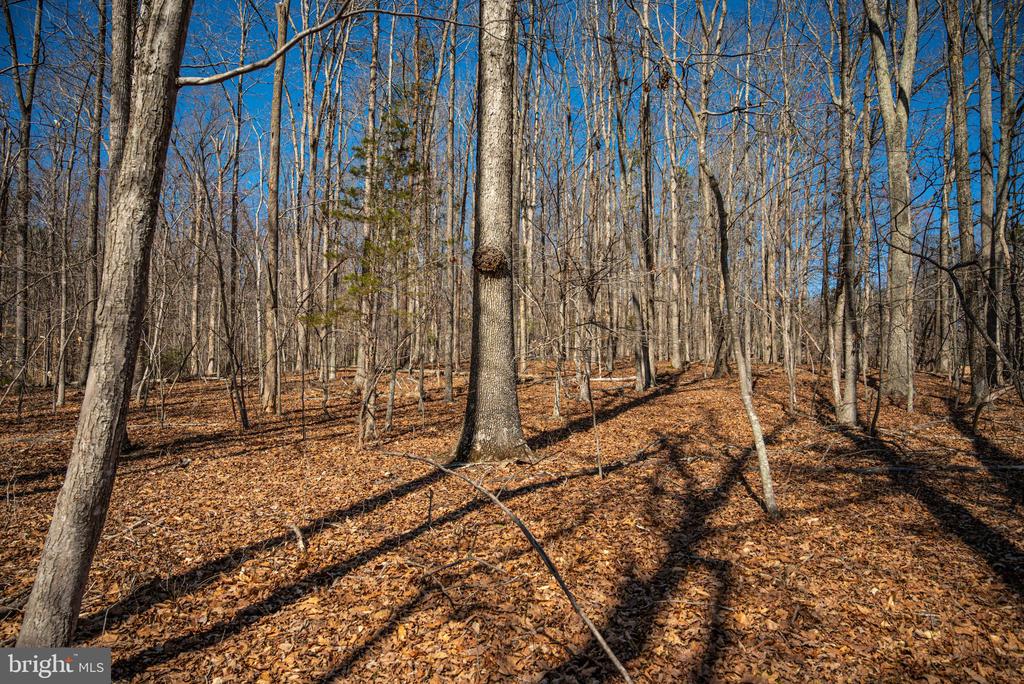 0 COX MILL RD, GORDONSVILLE, Virginia 22942, ,Farm,0 COX MILL RD,VAOR2013724 MLS # VAOR2013724